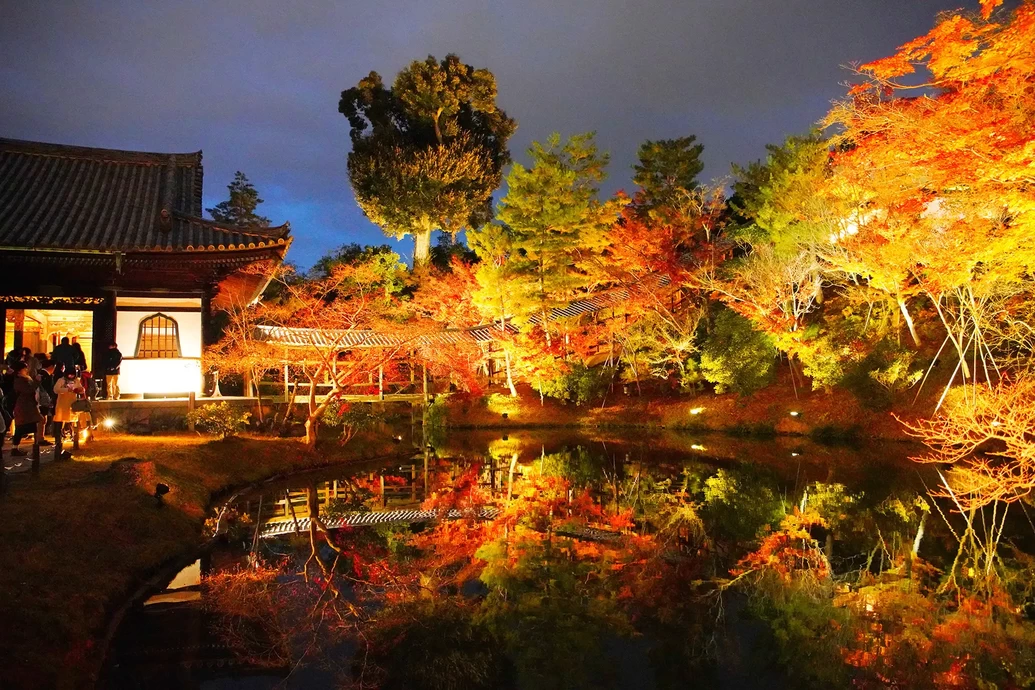 秋の夜間特別拝観【高台寺】