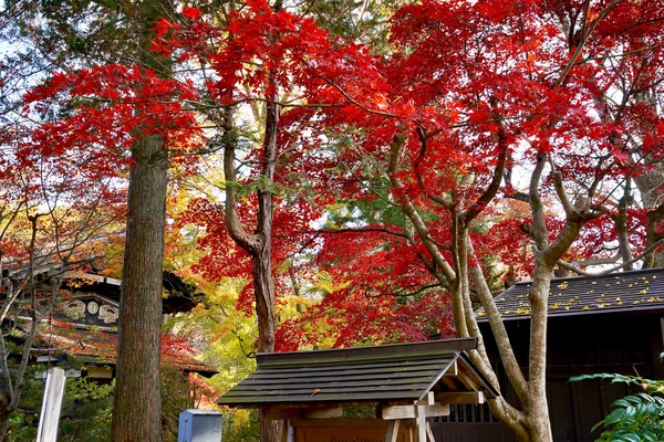 角館の武家屋敷