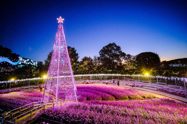 テーマ1　10月18日～11月中旬