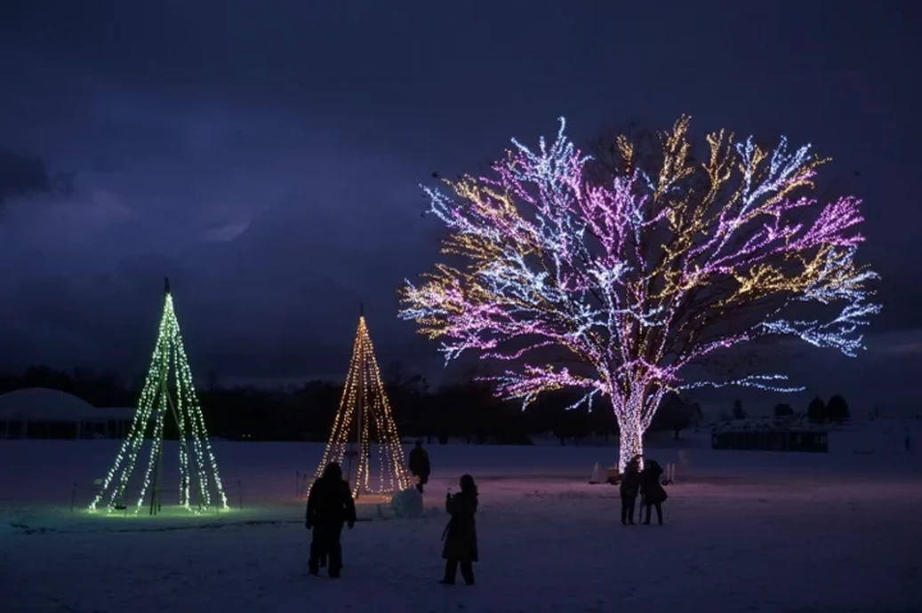 Xmas キャンドルナイト【国営越後丘陵公園】