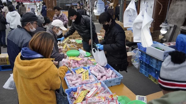 市場で仕入れた魚介類が勢揃い！