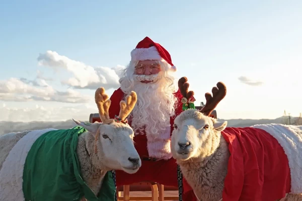 牧場の動物たちと一緒に楽しめるクリスマスイベント