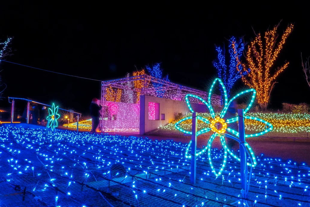 Sennan Park Light up【SENNAN LONG PARK（泉南りんくう公園）】