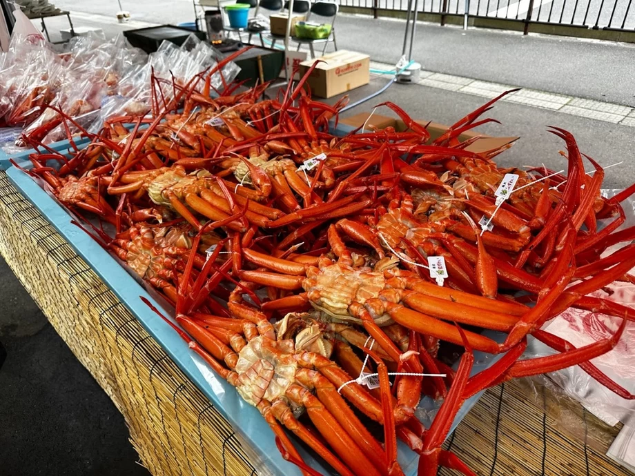 越前朝市【道の駅 越前】