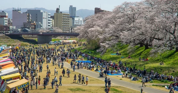 ＜ふくいの桜とまつりの歴史＞