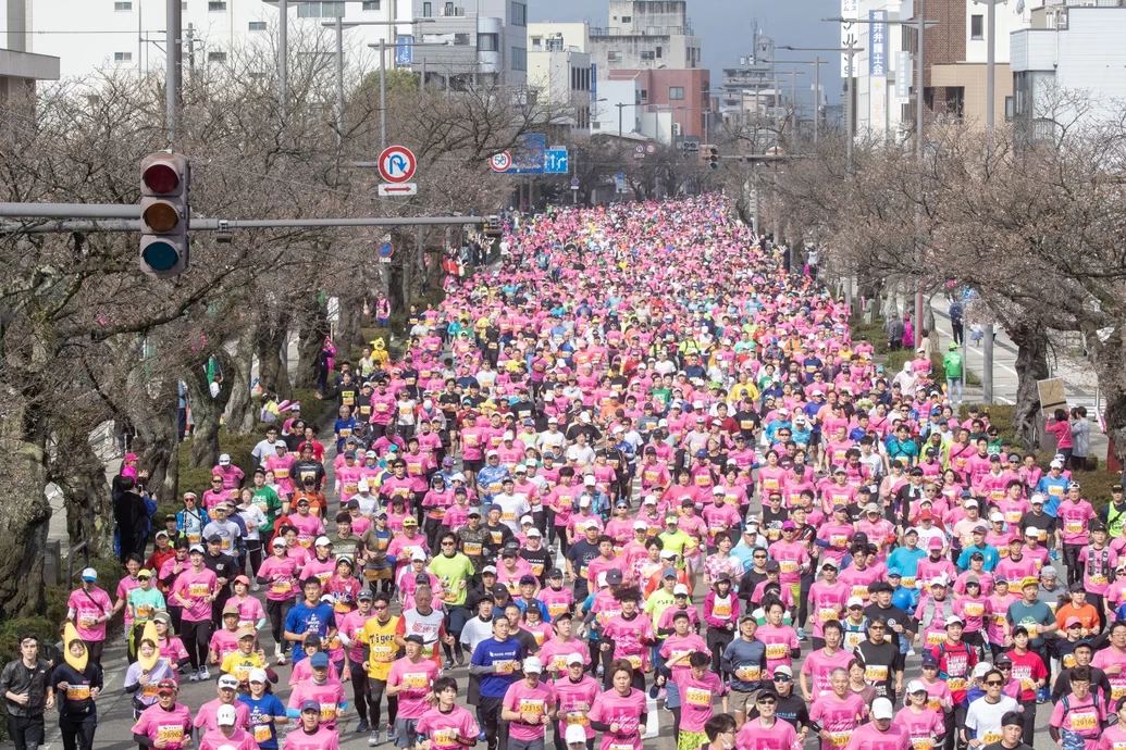 ふくい桜マラソン2025【福井県福井市・坂井市】