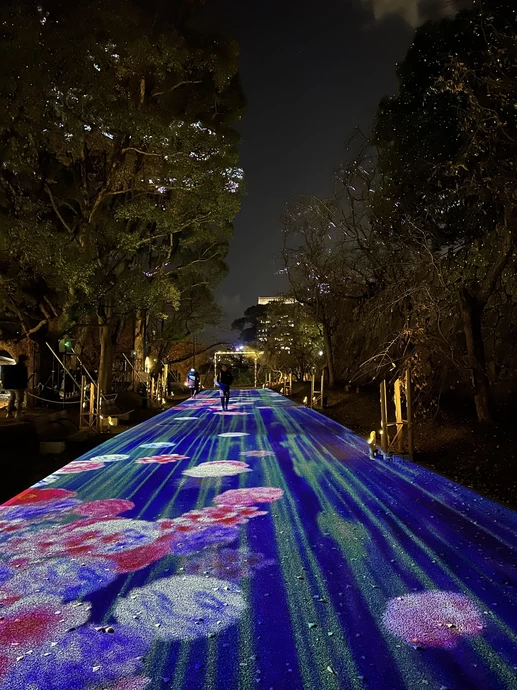 光のナイトウォークin福岡城・鴻臚館～竹花玄夜と舞～【福岡城】