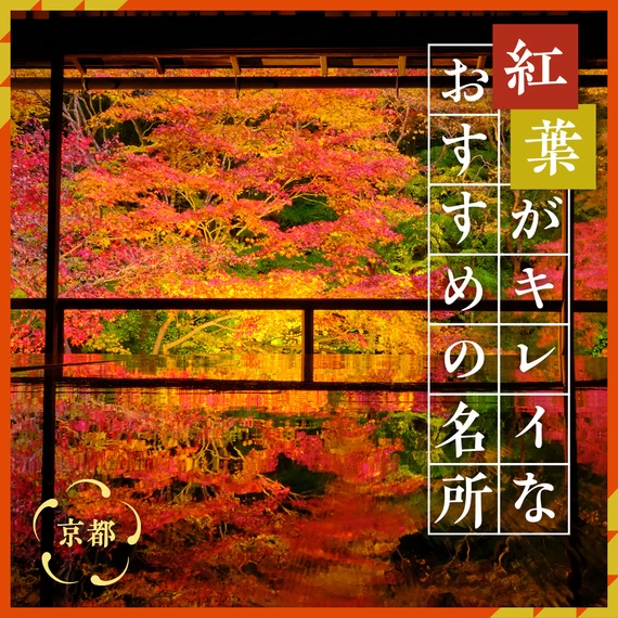 【2023年：京都観光で紅葉を満喫】紅葉がキレイなおすすめの名所26選