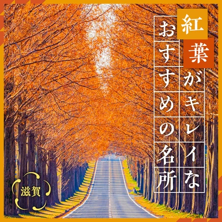 【2023年：滋賀観光で紅葉を満喫】紅葉がキレイなおすすめのスポット18選
