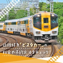 近鉄特急「ビスタカー」の料金や予約方法をチェック！おすすめの座席は？