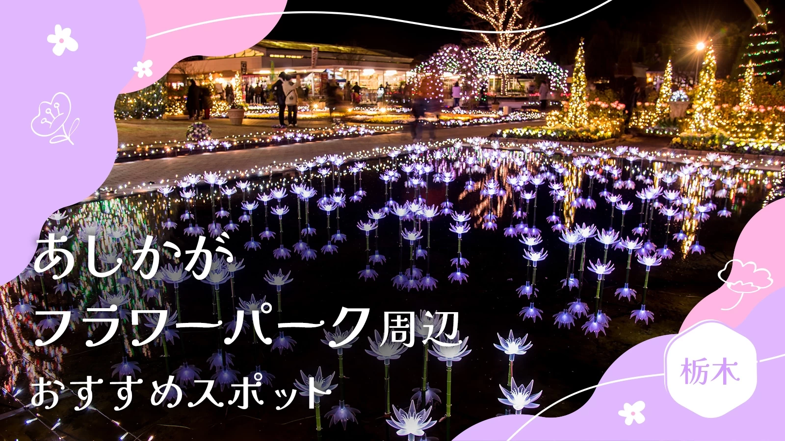【栃木・足利市】あしかがフラワーパーク周辺でおすすめの観光スポット9選