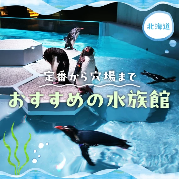 【北海道観光で外せない】定番から穴場までおすすめの水族館10選