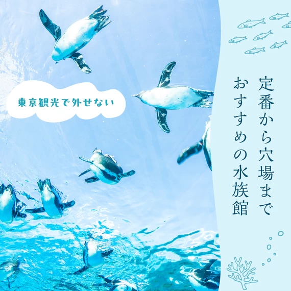 【東京観光で外せない】定番から穴場までおすすめの水族館9選
