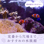 【関西観光で外せない】定番から穴場までおすすめの水族館15選