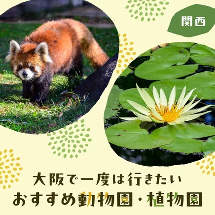 【関西観光】大阪で一度は行きたいおすすめ動物園・植物園11選