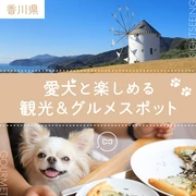 【香川県】愛犬と楽しめる観光＆グルメスポット12選 ペットと泊まれる宿もご紹介！