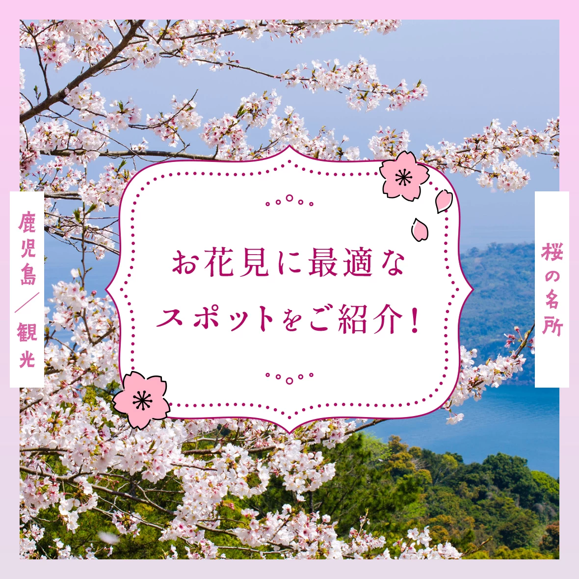 【鹿児島観光】桜の名所10選 お花見に最適なスポットをご紹介！