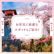 【群馬観光】桜の名所11選 お花見に最適なスポットをご紹介！