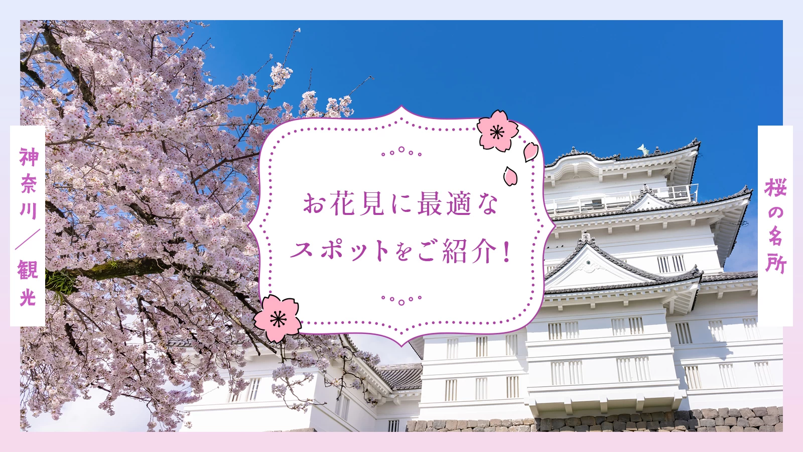 【神奈川観光】桜の名所20選 お花見に最適なスポットをご紹介！  