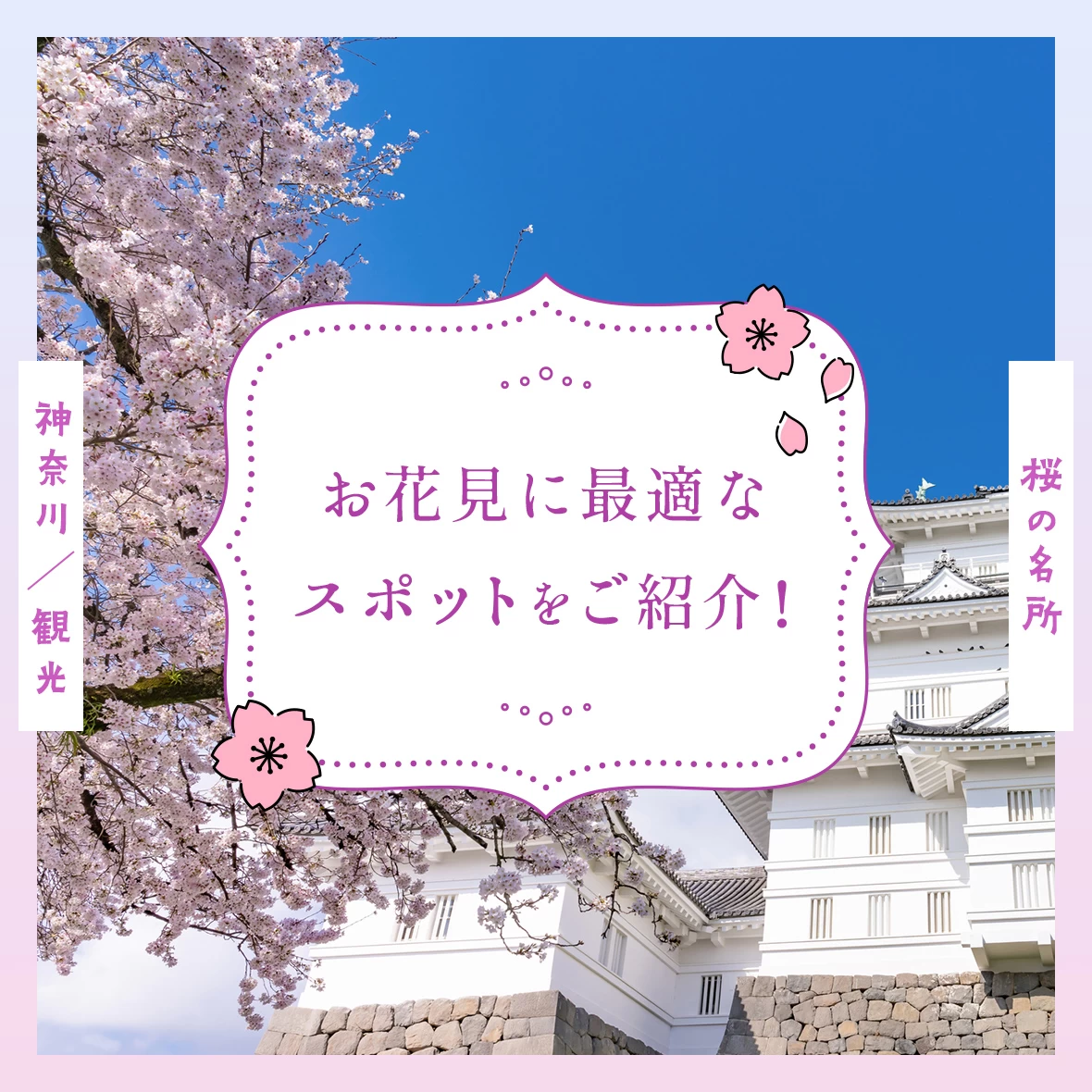 【神奈川観光】桜の名所20選 お花見に最適なスポットをご紹介！
