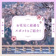 【京都観光】桜の名所20選 お花見に最適なスポットをご紹介！