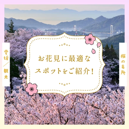 【愛媛観光】桜の名所13選 お花見に最適なスポットをご紹介！