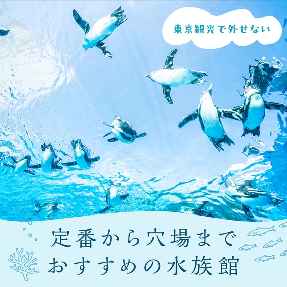 【東京観光で外せない】定番から穴場までおすすめの水族館9選
