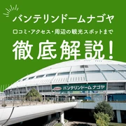 バンテリンドーム ナゴヤの口コミ・アクセス・周辺の観光スポットまで徹底解説！