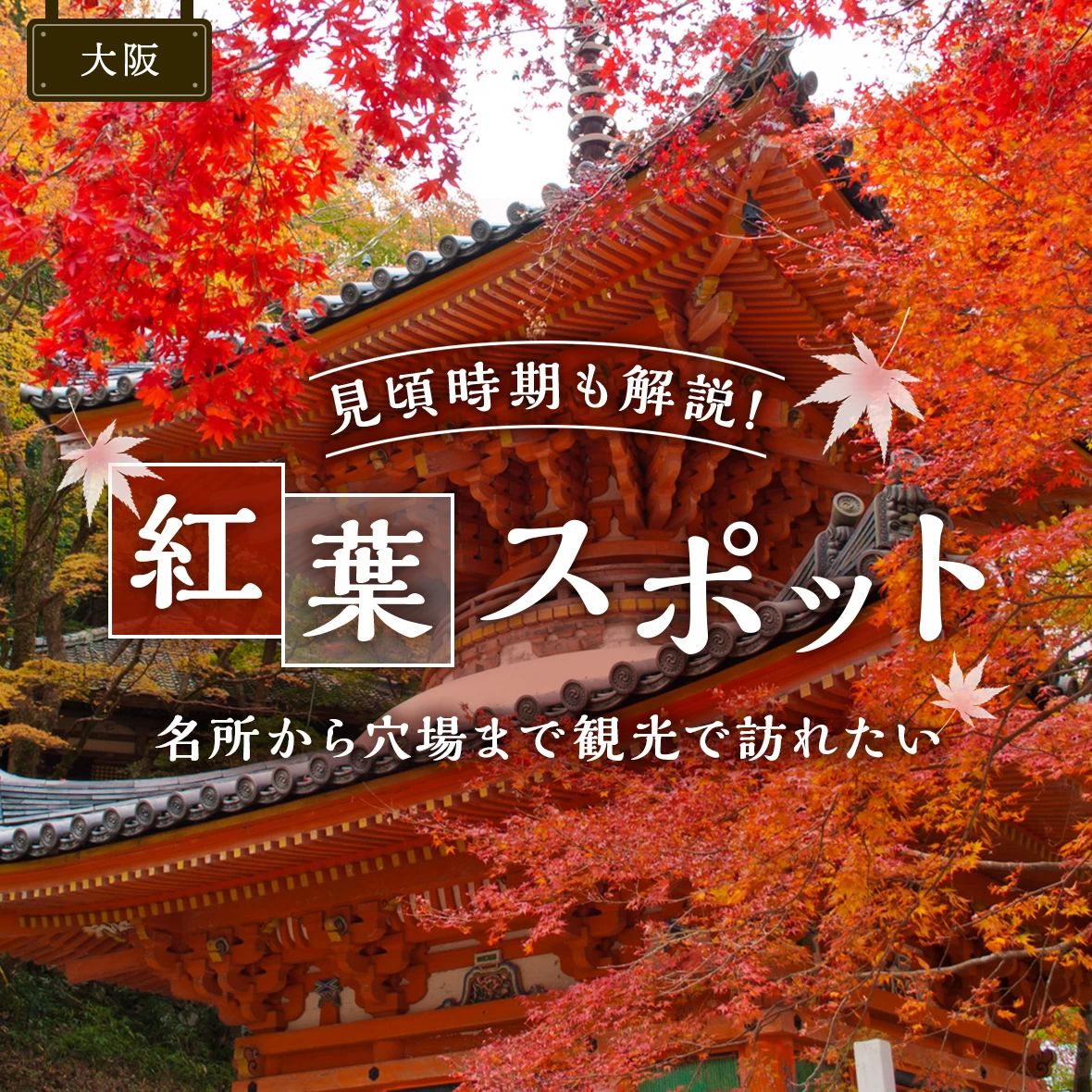【2025年・大阪観光】紅葉の名所＆穴場11選｜見頃の時期やライトアップも調査