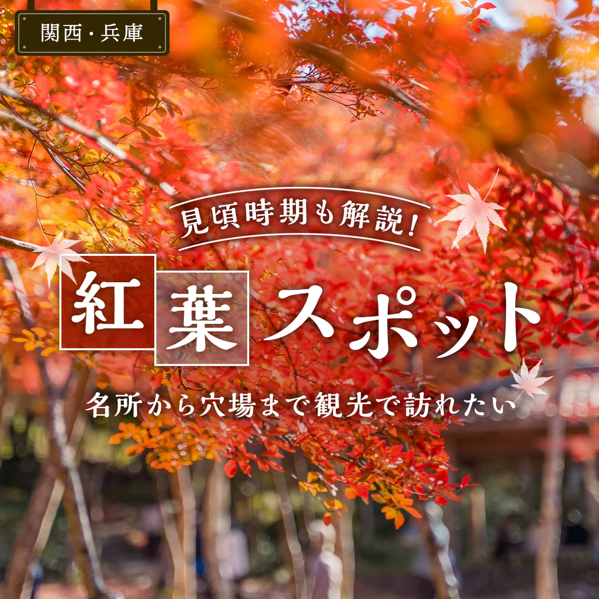 【兵庫・観光】おすすめ紅葉スポット23選｜ライトアップや見頃も調査【2025年版】