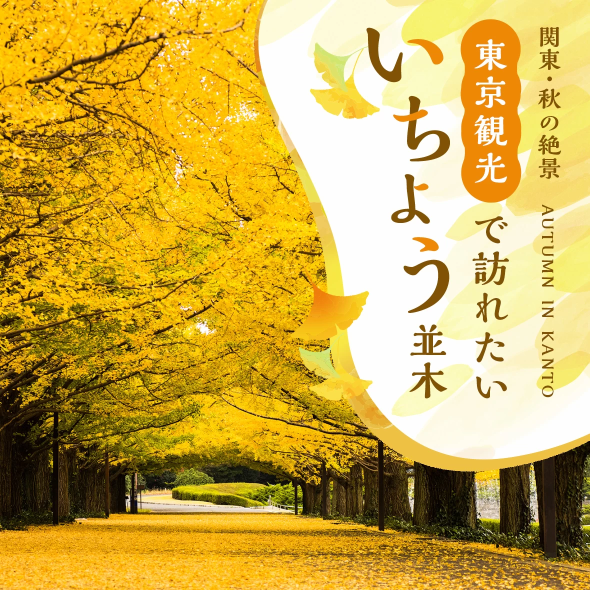 【関東・秋の絶景】東京観光で訪れたいいちょう並木9選 見頃時期も紹介