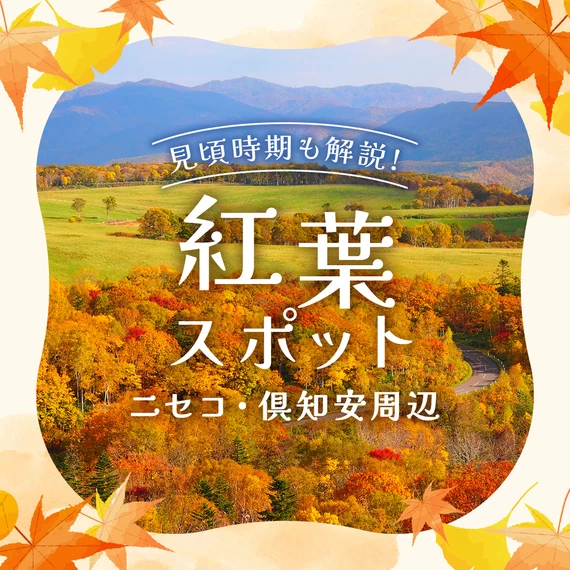 【北海道】ニセコ・倶知安周辺の紅葉スポット7選 見頃時期も解説