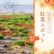 【北海道】根室・別海周辺の紅葉スポット6選 見頃時期も解説