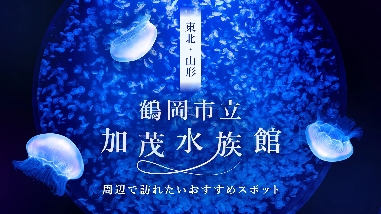 【東北・山形観光情報】鶴岡市立加茂水族館周辺で訪れたいおすすめスポット15選