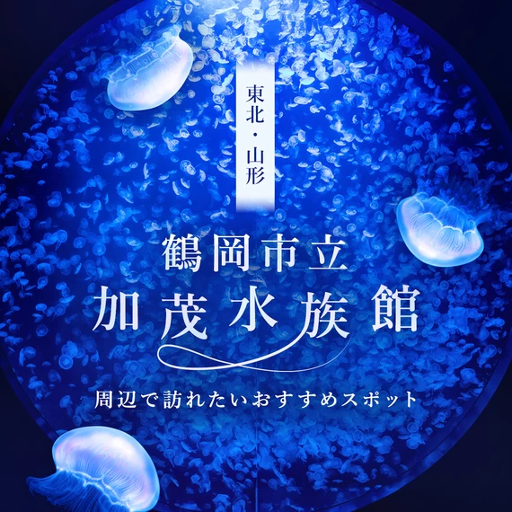 【東北・山形観光情報】鶴岡市立加茂水族館周辺で訪れたいおすすめスポット15選