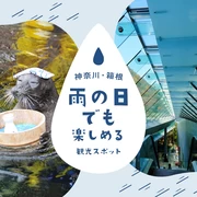 【神奈川・箱根旅行】雨の日でも楽しめるおすすめ観光スポット11選