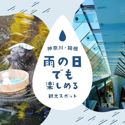 【神奈川・箱根旅行】雨の日でも楽しめるおすすめ観光スポット11選