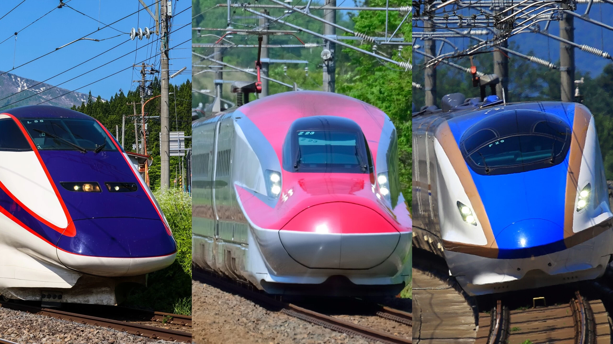 2025年6月は東北・新潟へ！ネット予約で初めてタイムセール実施！新幹線がお得に