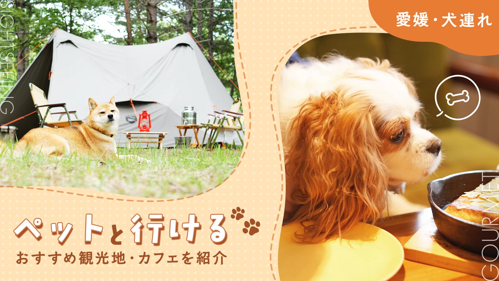 【愛媛・犬連れ】ペットと行ける観光地・カフェ8選  
