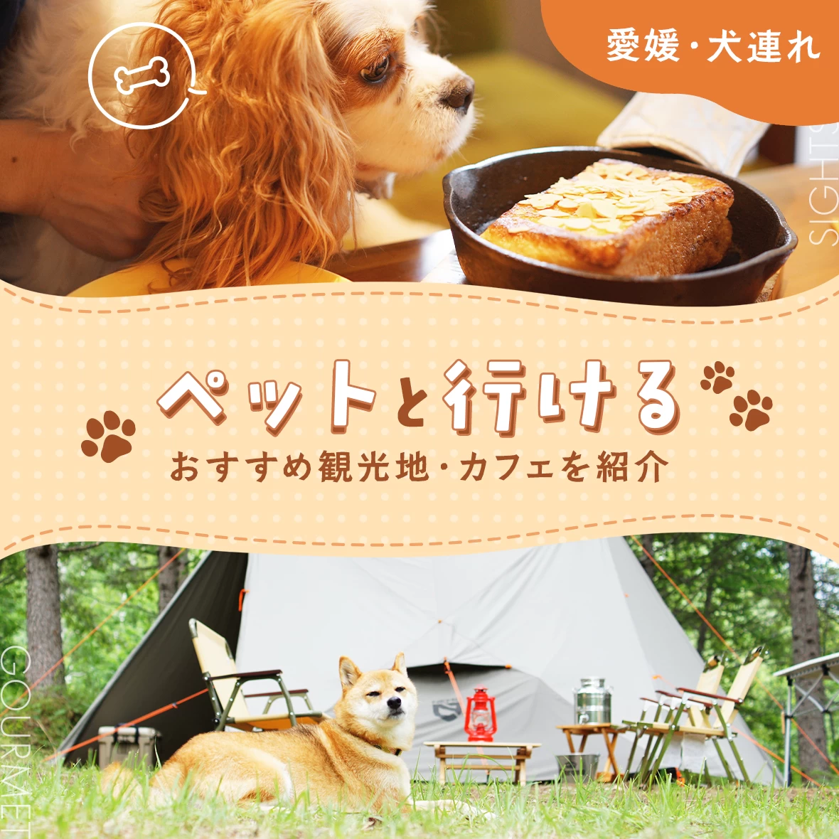 【愛媛・犬連れ】ペットと行ける観光地・カフェ8選
