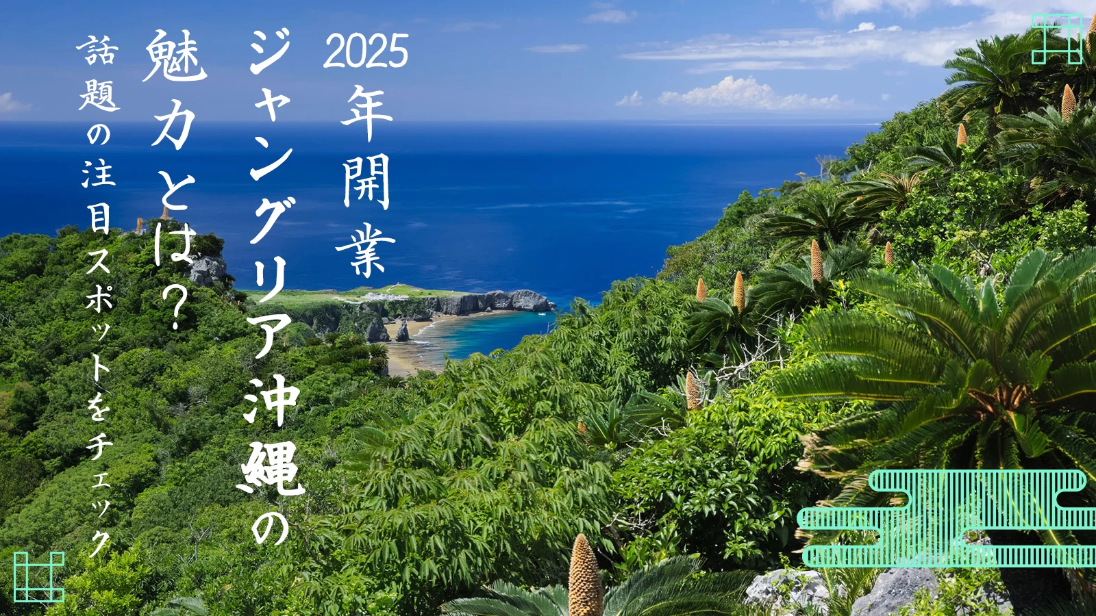 ジャングリア沖縄の魅力とは？話題の注目スポットをチェック｜沖縄旅行完全ガイド