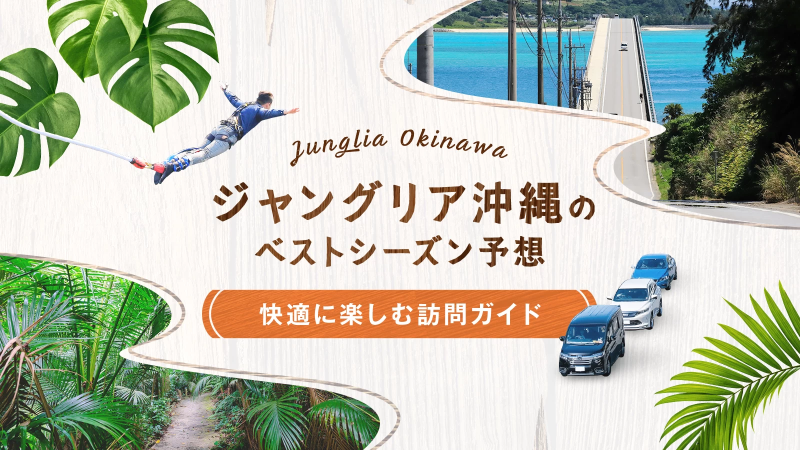 ジャングリア沖縄のベストシーズン予想｜快適に楽しむ訪問ガイド