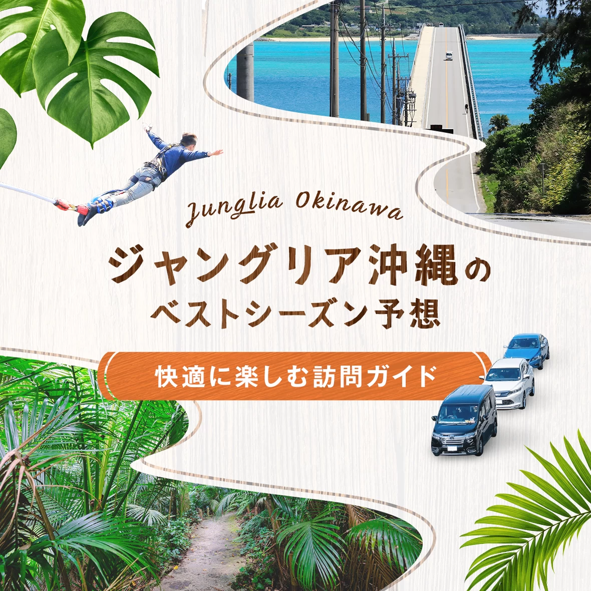 ジャングリア沖縄のベストシーズン予想｜快適に楽しむ訪問ガイド