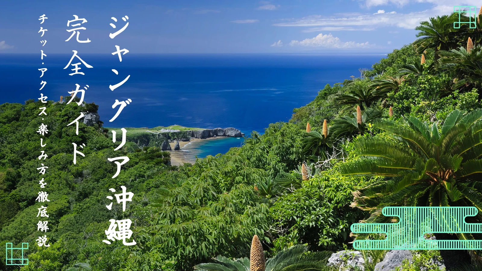 ジャングリア沖縄完全ガイド｜チケット・アクセス・楽しみ方を徹底解説