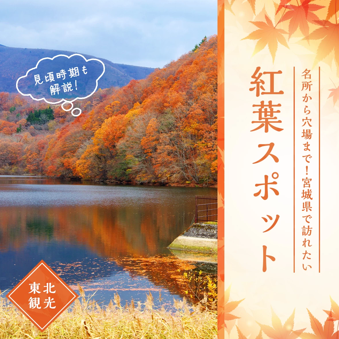 【東北観光】名所から穴場まで！宮城県で訪れたい紅葉スポット11選 見頃時期も解説 