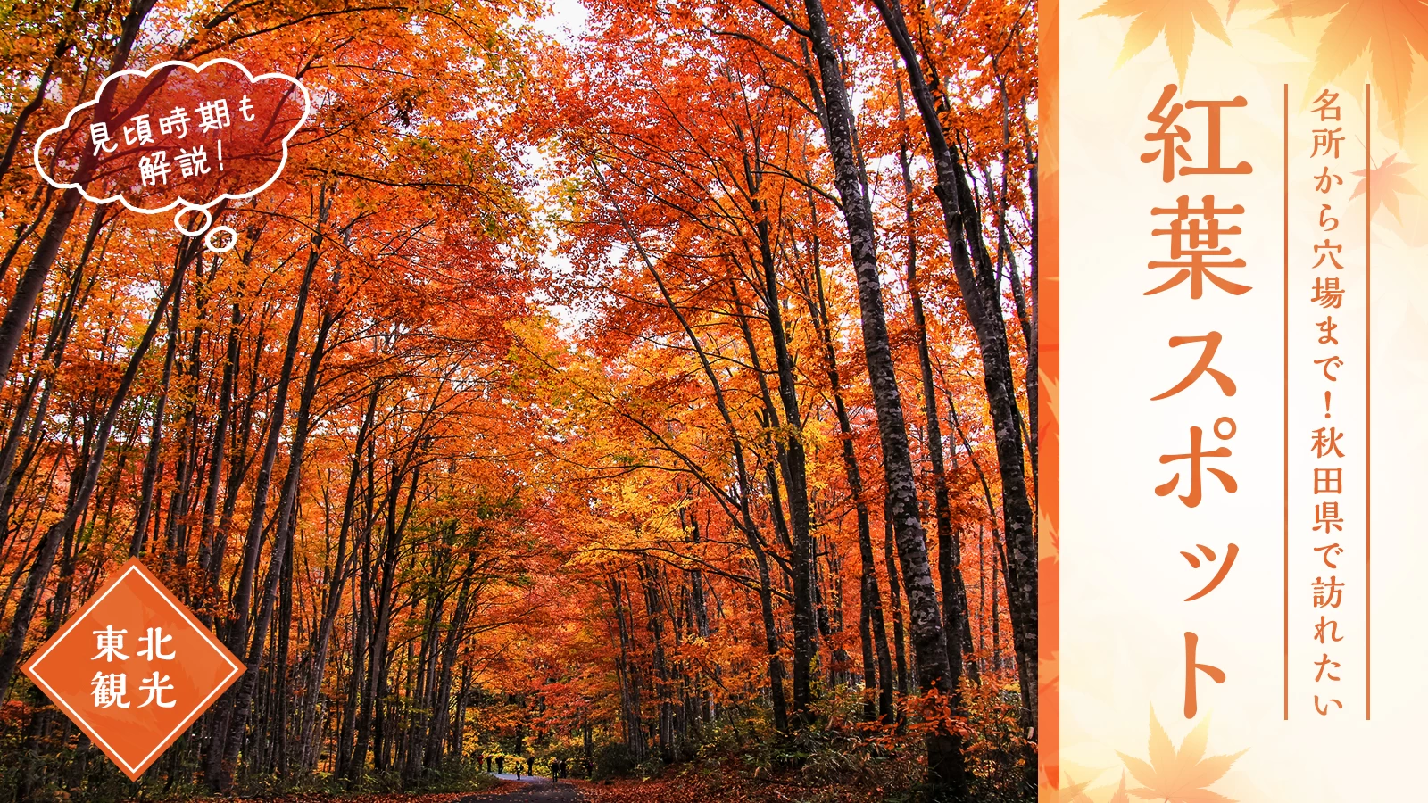 【東北観光】名所から穴場まで!秋田県で訪れたい紅葉スポット16選 見頃時期も解説