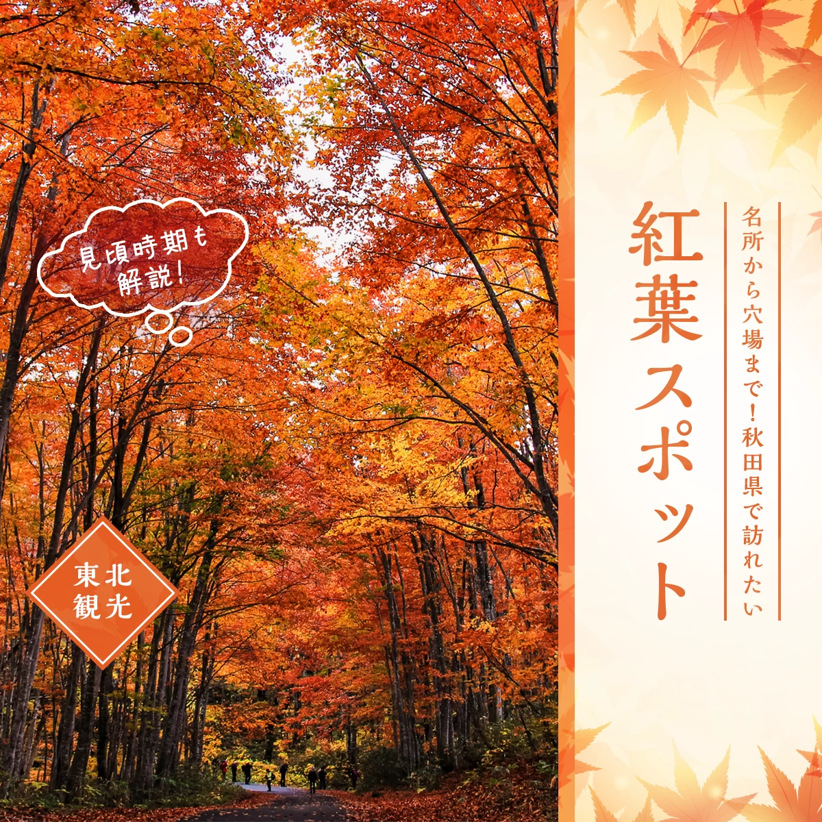 【東北観光】名所から穴場まで！秋田県で訪れたい紅葉スポット16選 見頃時期も解説
