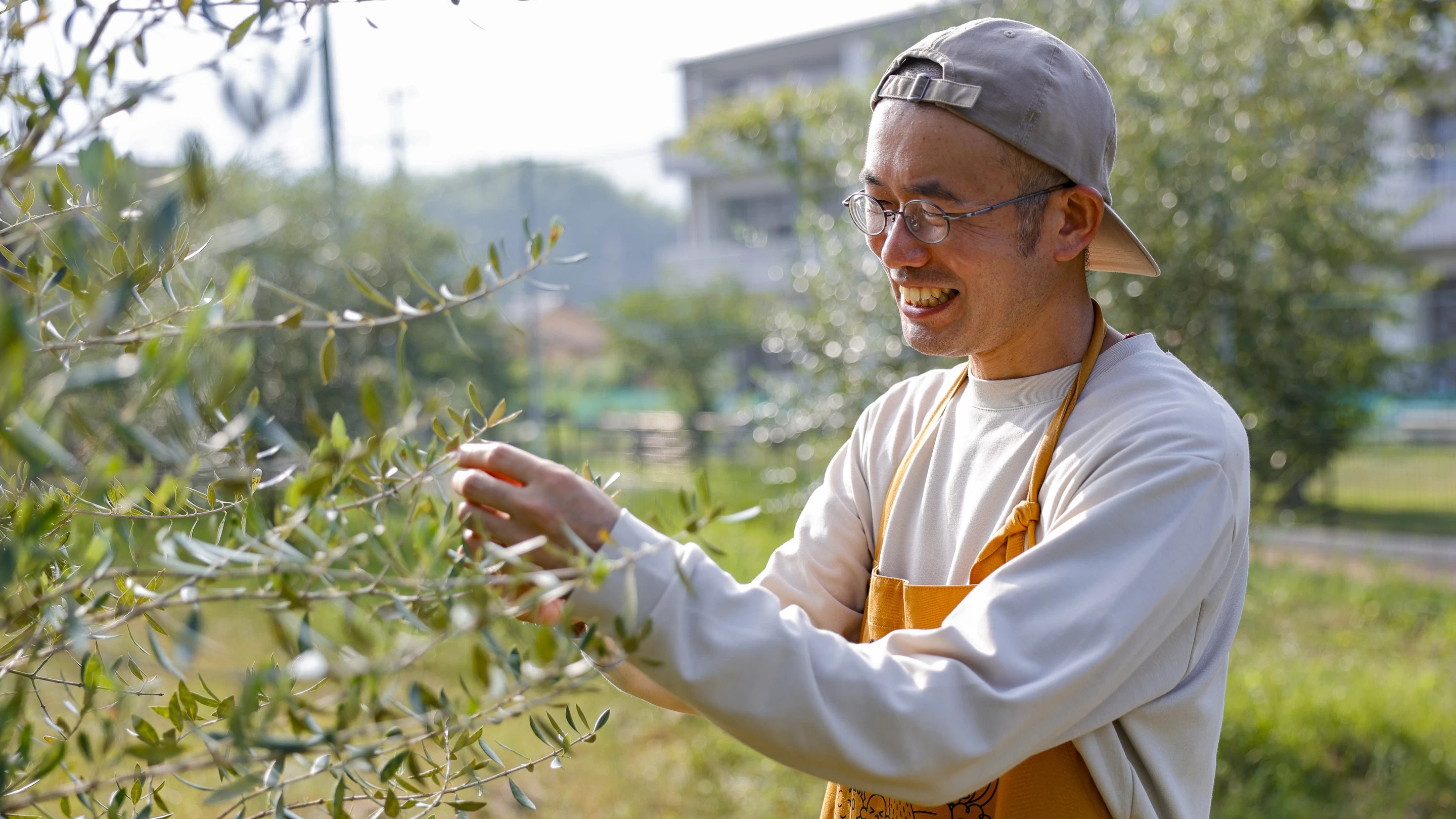 【広島旅行穴場】オリーブラボ江田島で学ぶオリーブオイルの魅力!テイスティング体験も