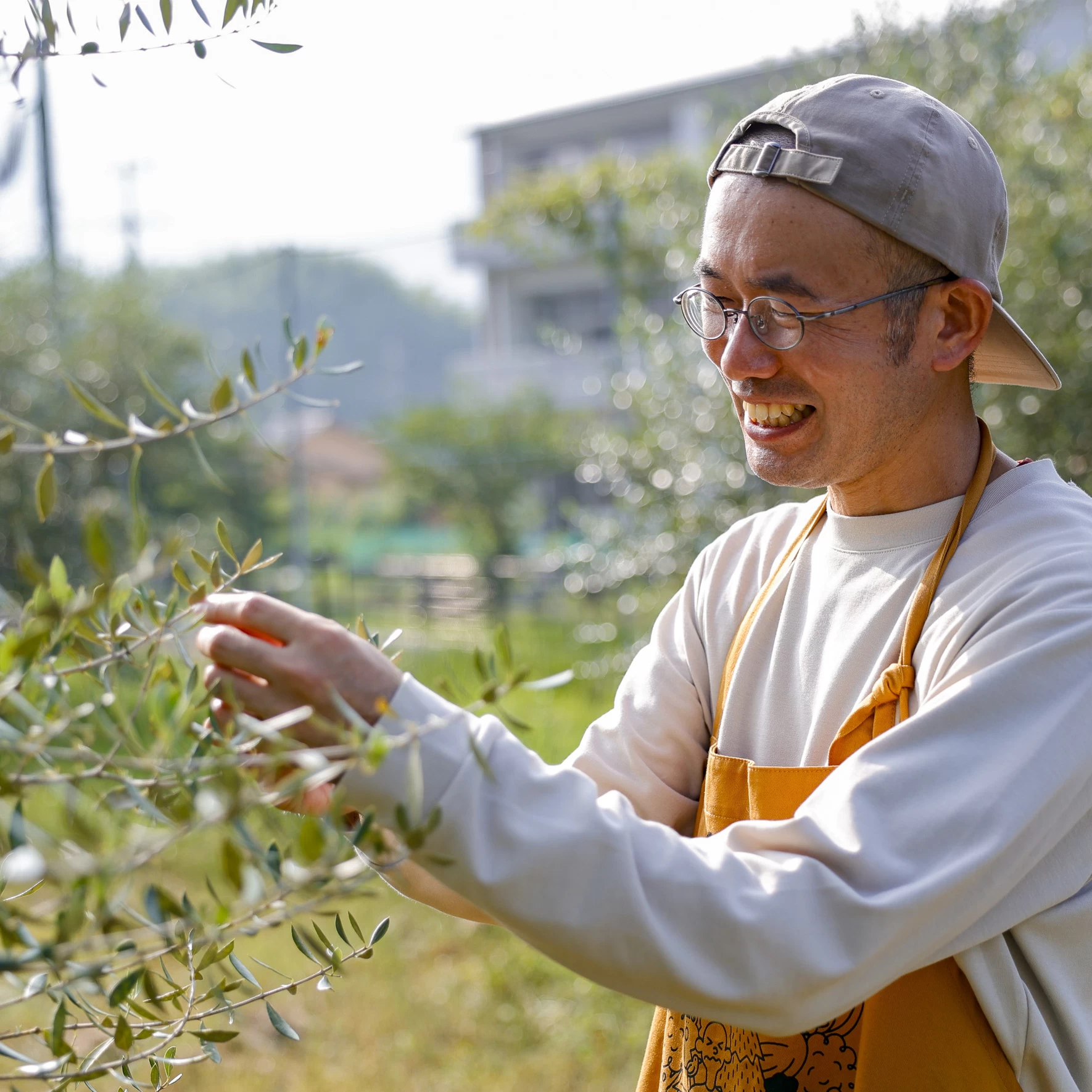 【広島旅行穴場】オリーブラボ江田島で学ぶオリーブオイルの魅力！テイスティング体験も
