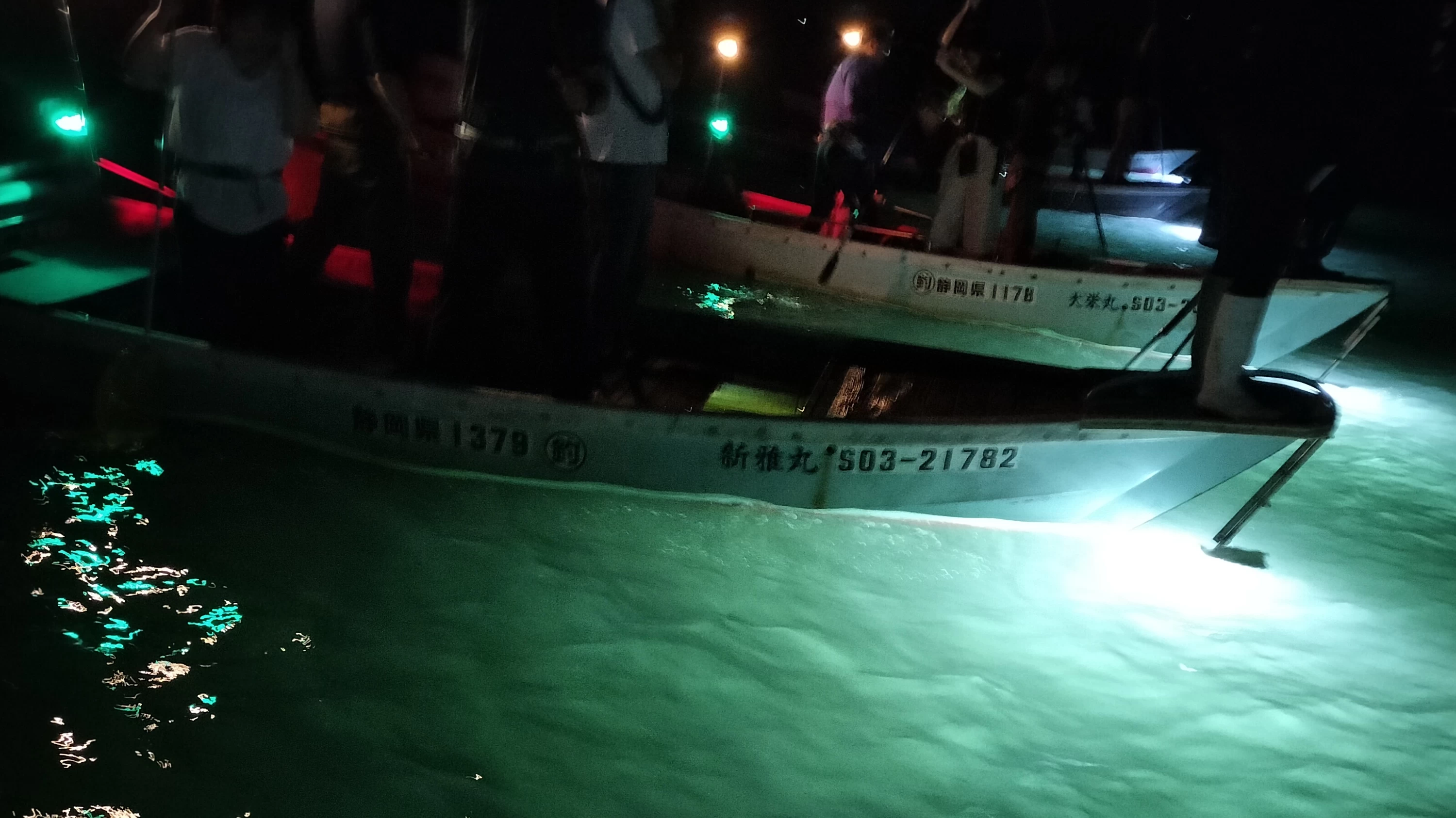 【浜名湖の夜に輝く】伝統のたきや漁を！ 地元の魅力を肌で感じる体験レポート